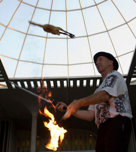 Chicken Sword and Torch